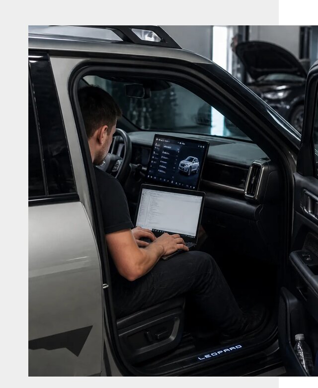 Русификация BYD Leopard 3 в Лысьве по цене от 20411 р. | ФастМобиль-Лсь