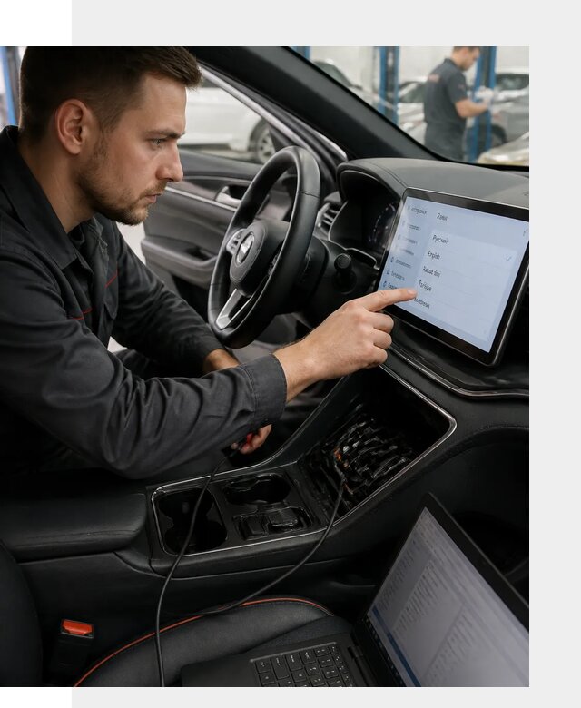Профессиональная русификация BYD SONG Plus в Лысьве